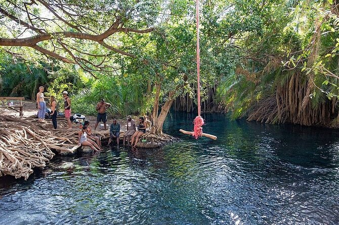 Day Trip-Materuni Waterfalls, Coffee Tour, Kikuletwa Hot Springs - The Coffee Tour Experience