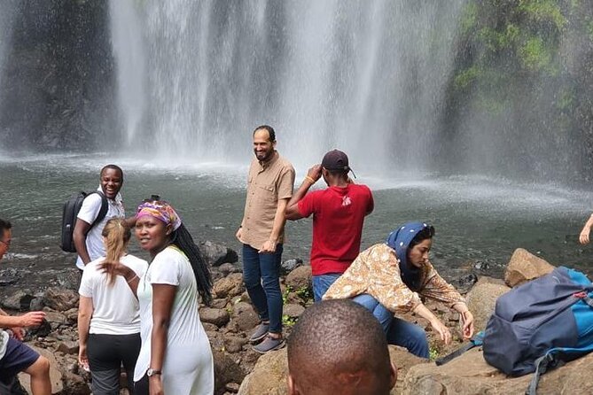 Day Trip-Materuni Waterfalls, Coffee Tour, Kikuletwa Hot Springs - Guest Reviews and Ratings