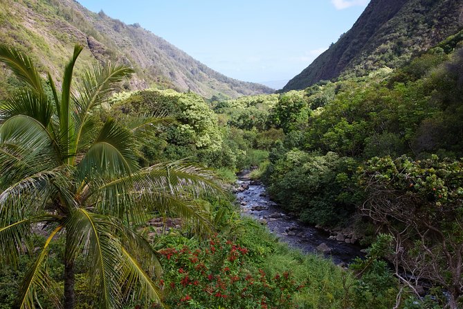 Day Trip Oahu to Maui Haleakala, Iao Valley & Central Maui - Oahu to Maui Roundtrip