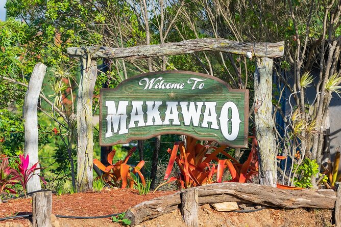Day Trip Oahu to Maui Haleakala, Iao Valley & Central Maui - Logistics & Requirements
