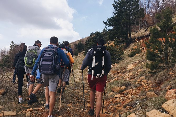 Day Trip of Kruja and National Park of Qafeshtama - Highlights Along the Way