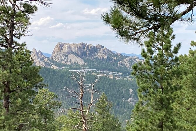 Day Trip of the Black Hills: Mount Rushmore to Custer State Park! - Additional Details
