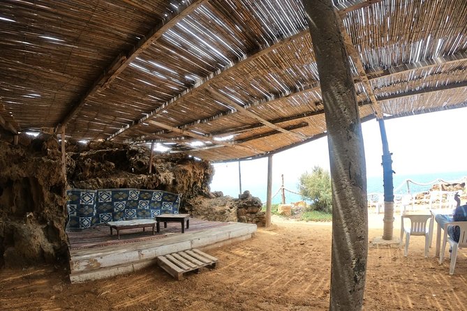 Day Trip off the Beaten Track to Cap Bon From Tunis or Hammamet - Private Tour and Group Participation