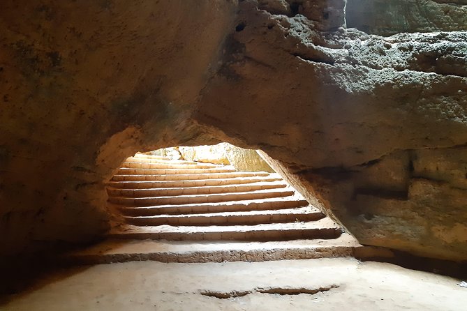 Day Trip off the Beaten Track to Cap Bon From Tunis or Hammamet - Pricing and Cancellation Policy