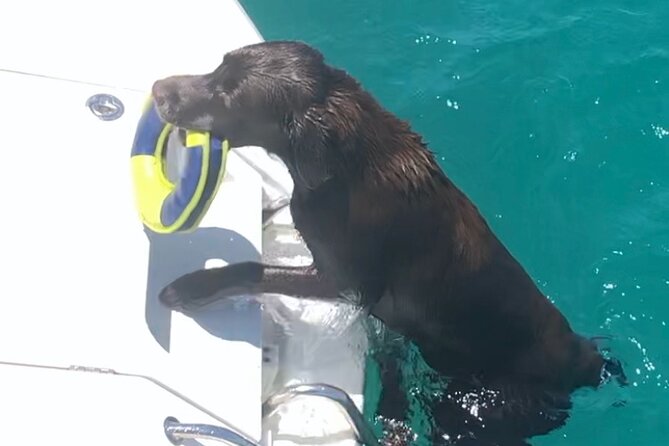 Day Trip on a Sailing Catamaran in Sardinia - Catamaran Amenities