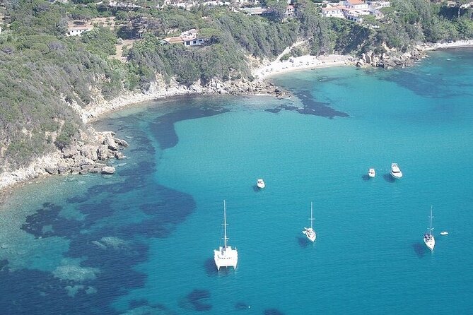 Day Trip on a Sailing Catamaran in Sardinia - Included Services