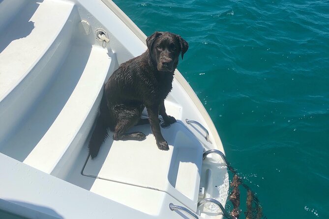 Day Trip on a Sailing Catamaran in Sardinia - Schedule