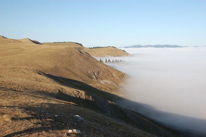 Day Trip on Quad ATV - Transylvanian Outdoor Adventure - Itinerary and Logistics