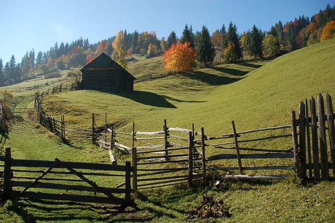 Day Trip on Quad ATV - Transylvanian Outdoor Adventure - Customer Experiences and Reviews