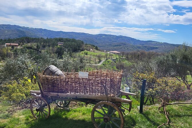 Day Trip on Saturday: HUM and MOTOVUN - Optional Wine and Olive Oil Tasting