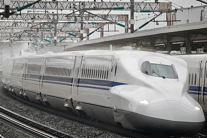 Day Trip Osaka From Tokyo With a Guide by Bullet Train - Key Points