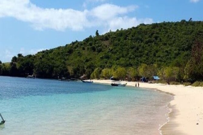 Day Trip Pink Beach Trip - Tour Schedule and Duration