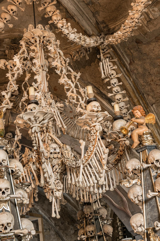 Day Trip: Prague to Kutna Hora & Cesky Sternberk, and More - Inclusions and Exclusions