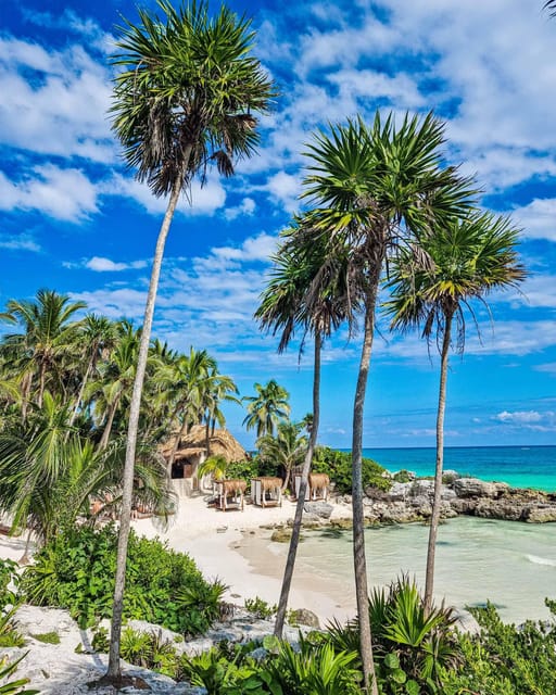 Day Trip Private Beach at Tulum - Amenities and Services
