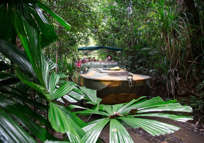 Day Trip: Rainforest & Aboriginal Culture Tour - Transportation and Accessibility