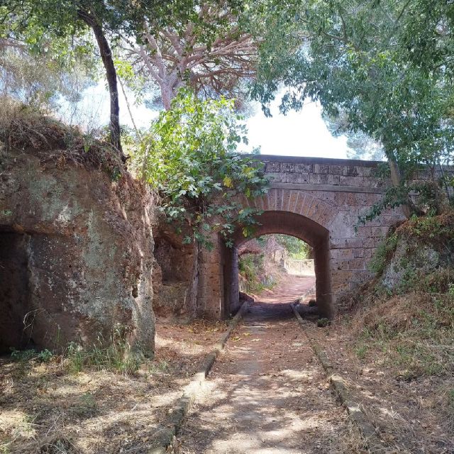 Day Trip Rome: Tarquinia and Cerveteri, Etruschi Tour - Itinerary and Locations
