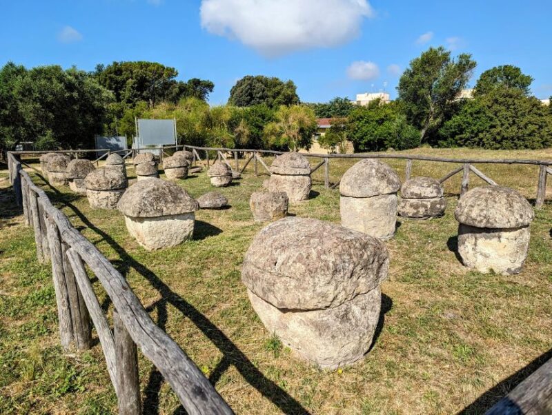 Day Trip Rome: Tarquinia and Cerveteri, Etruschi Tour - Customer Experiences and Reviews
