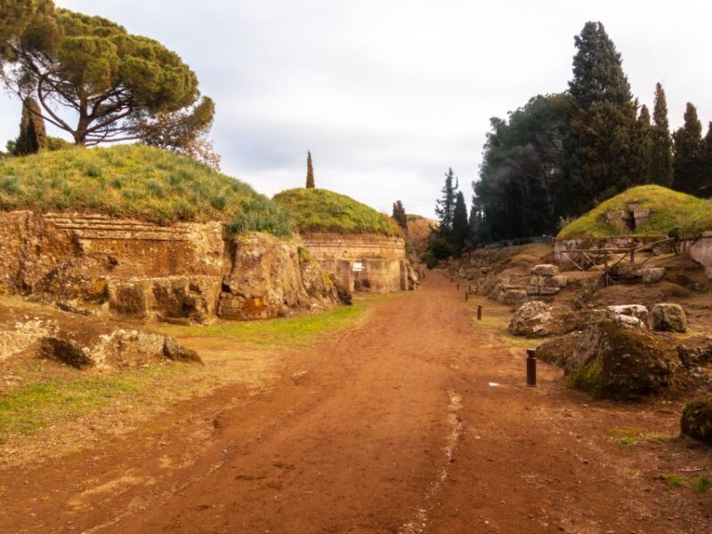 Day Trip Rome: Tarquinia and Cerveteri, Etruschi Tour - Important Information