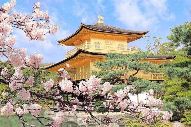 Day Trip Sacred Sites at Koyasan From Osaka - Tour Highlights and Experiences