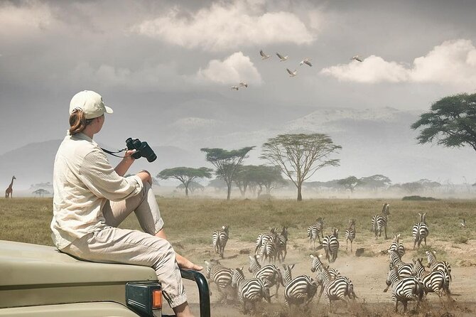Day Trip Safari to Mikumi National Park - Seeing the Animals