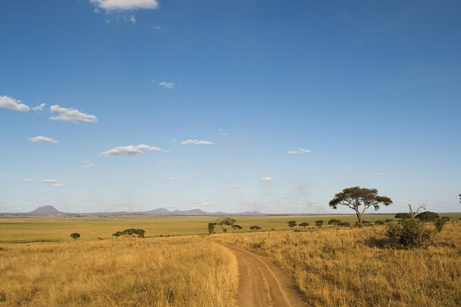 Day Trip Safari to Tarangire National Park - Additional Details