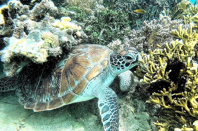 Day Trip Secret Island West Of Lombok - Itinerary and Logistics