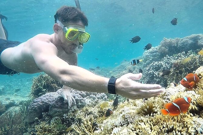 Day Trip Secret Island West Of Lombok - Booking and Cancellation