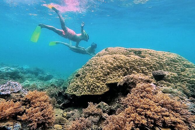 Day Trip Secret Island West Of Lombok - Accessibility and Fitness