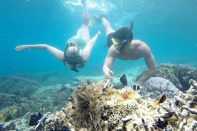 Day Trip Secret Island West Of Lombok - Transportation Options
