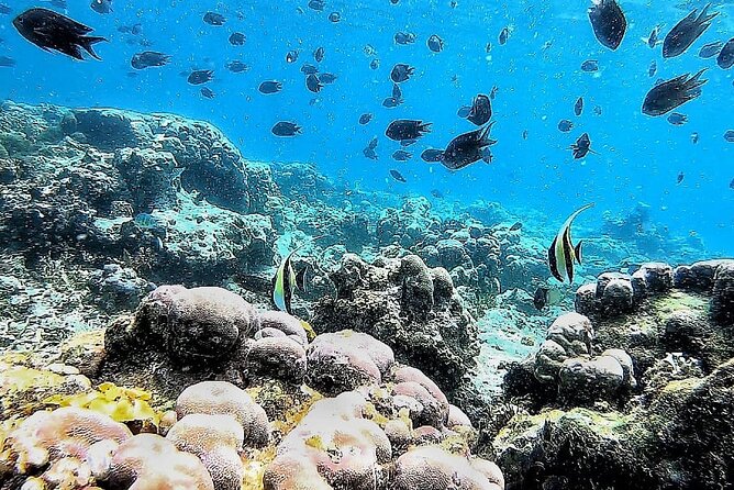 Day Trip Secret Island West Of Lombok - Customer Reviews