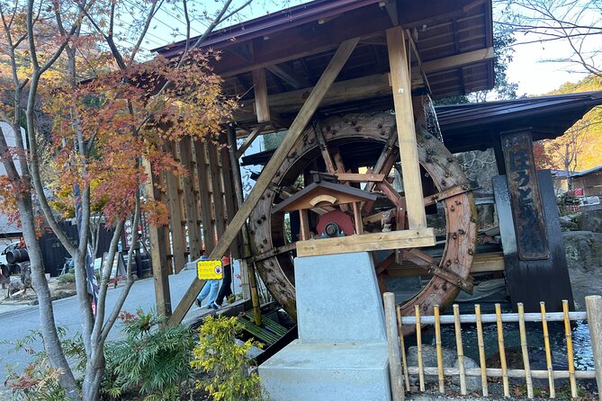 Day Trip Shosen Valley From Tokyo - Dietary Restrictions and Hiking Requirements