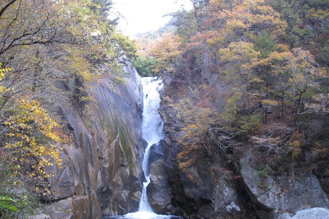 Day Trip Shosen Valley From Tokyo - Private Tour Option