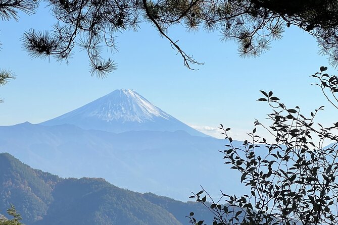 Day Trip Shosen Valley From Tokyo - Itinerary and Flexibility