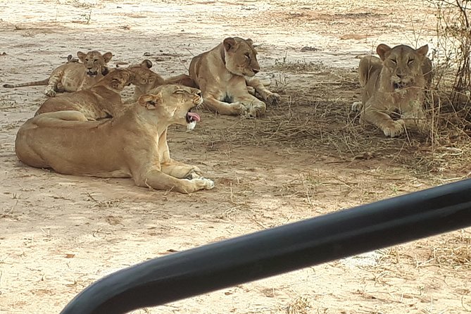 Day Trip Tarangire - Private Transportation and Amenities
