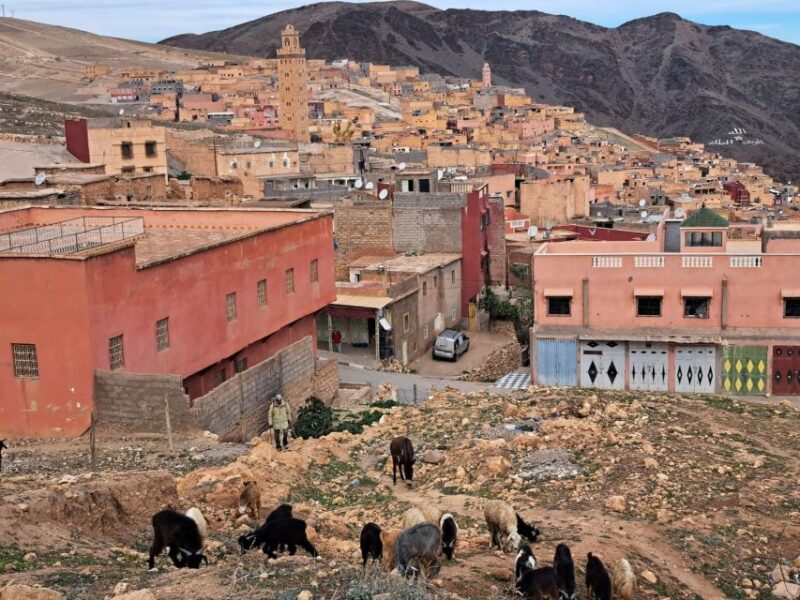 Day Trip & There Valleys With Lunch From Marrakech - Itinerary Highlights