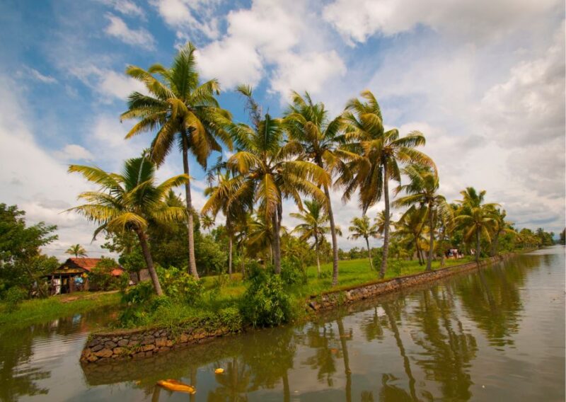 Day Trip to Alleppey With Backwater Experiences - Backwater Experiences