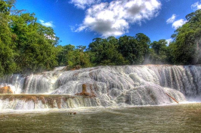 Day Trip to Archaeological Site of Palenque From San Cristobal - Transportation and Logistics