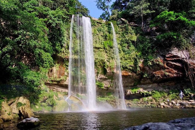 Day Trip to Archaeological Site of Palenque From San Cristobal - Traveler Reviews and Insights