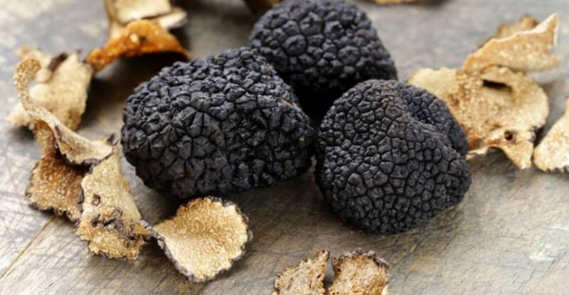 Day Trip to Assisi With Truffle Hunt & Lunch Bio From Rome - Itinerary Highlights