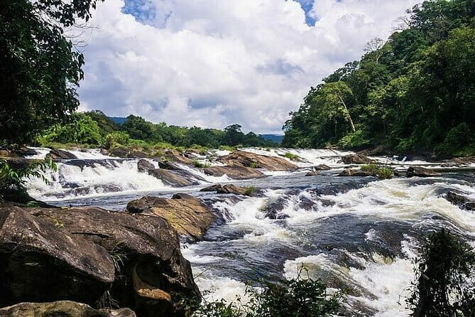 Day Trip to Athirappilly Water Falls by Kochi Taxi - What You Can Expect from the Experience