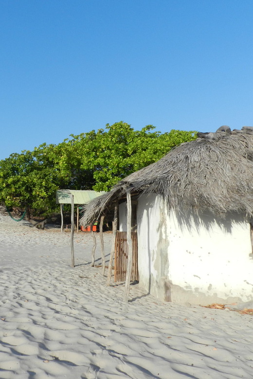 Day Trip to Atins Through the Lencois Maranhenses - Exclusions and Limitations