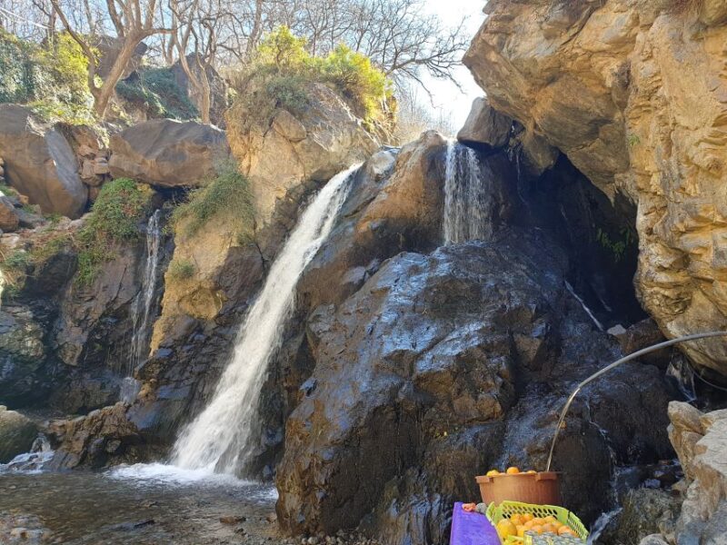 Day Trip To Atlas Mountain and Berber Village From Marrakech - Itinerary Highlights
