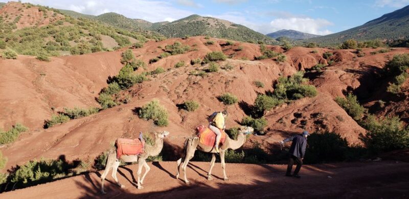 Day Trip To Atlas Mountain and Berber Village From Marrakech - Customer Reviews and Ratings
