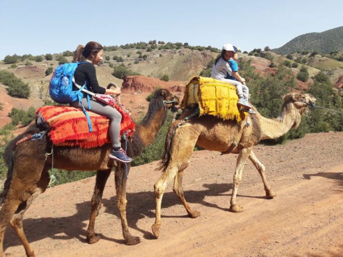 Day Trip To Atlas Mountain and Berber Village From Marrakech - Frequently Asked Questions