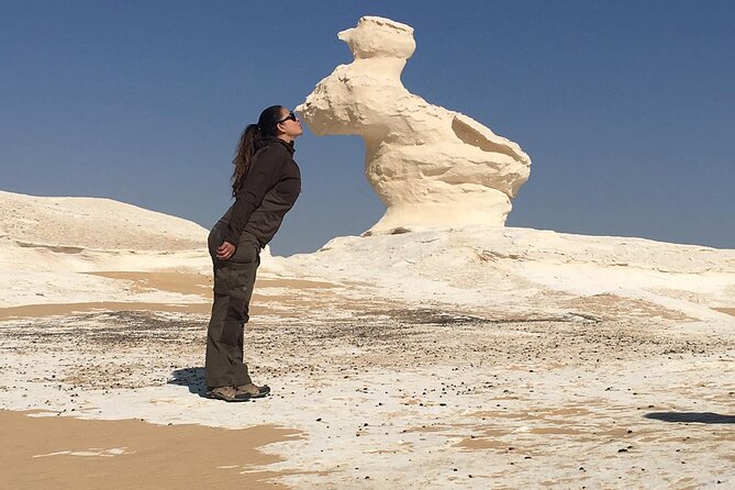 Day Trip To BaharIya Oasis Visit Black & White Desert From Cairo - Accessibility Features