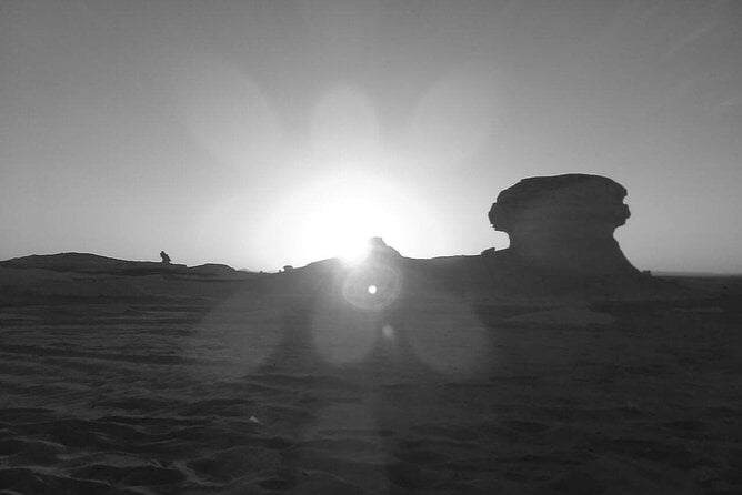 Day Trip To BaharIya Oasis Visit Black & White Desert From Cairo - Reviews and Feedback