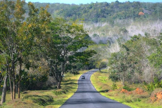 Day Trip to Bandipur National Park & Tiger Reserve - Participation Information