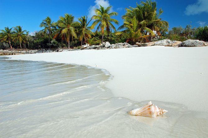 Day Trip to Bimini, Bahamas - Ferry Tickets - Packing and Preparation