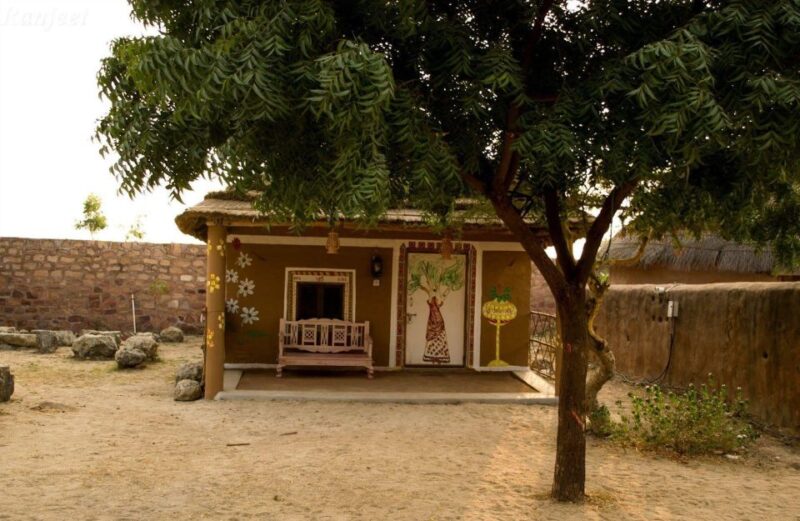 Day Trip to Bishnoi Village From Jodhpur - Interacting With Bishnoi Villagers