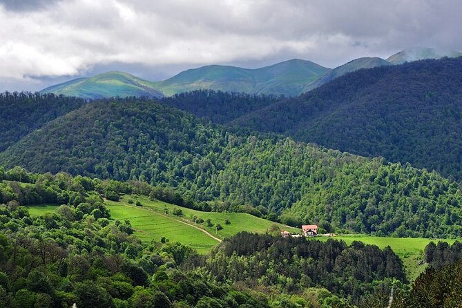 Day Trip to Blue Sevan, Evergreen Dilijan: Haghartsin, Lake Parz - Strolling Through Dilijans Nature
